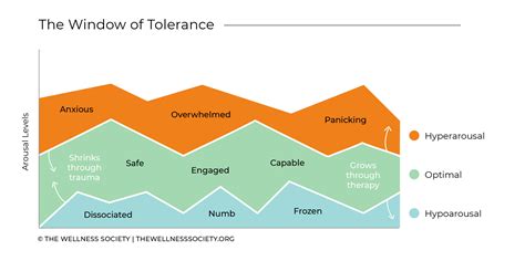 A Quick Guide to The Window of Tolerance - The Wellness Society | Self ...