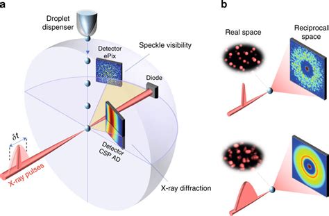 X Ray Diffraction