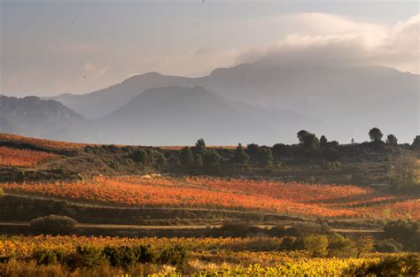 A journey through the Spanish landscape - Decanter