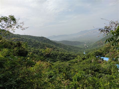 Sri Venkateswara National Park - wildlifefeet