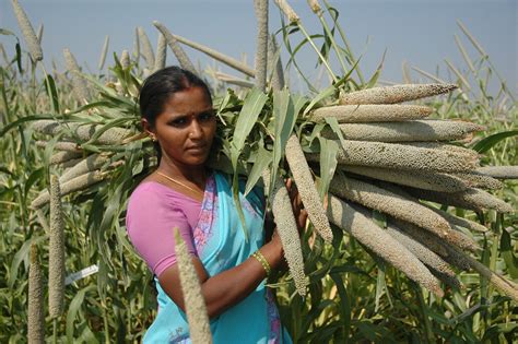 Women in agriculture | A pearl millet farmer with part of he… | ICRISAT | Flickr