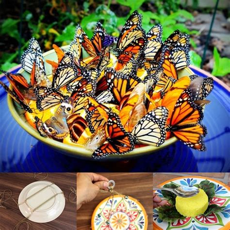 Wonderful DIY Amazing Butterfly Feeder