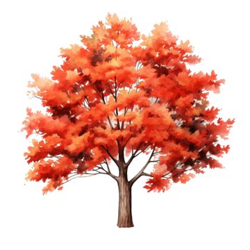 Fall Autumn Tree Watercolor Clipart Ai Generated, Tree, Fall, Autumn PNG Transparent Image and ...