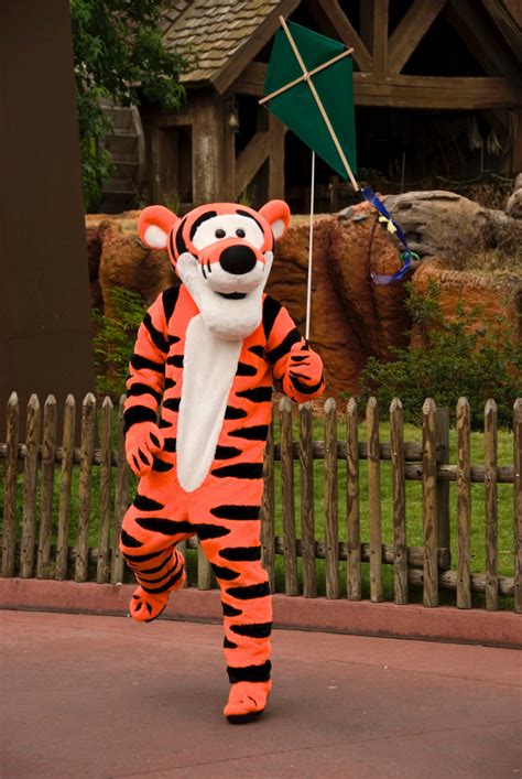 Free Images : amusement park, art, tiger, stripes, character, costume, walt disney, tigger ...