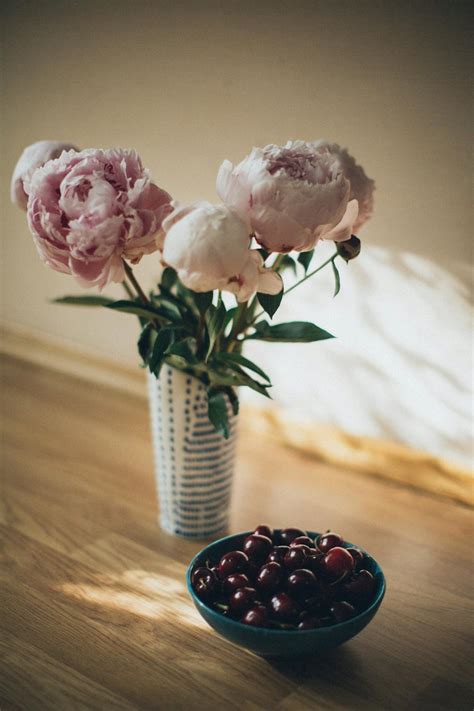 Three Flowers in Vase · Free Stock Photo