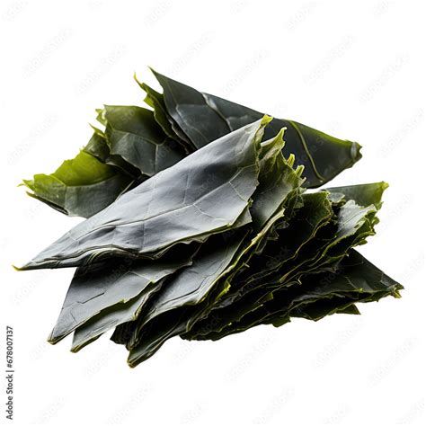 kombu seaweed isolated on transparent background,transparency Stock Photo | Adobe Stock