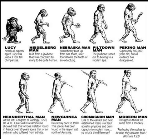 Evolution Of Man With Names