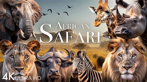 African Safari 4K - Amazing Wildlife of African Savanna | Scenic Relaxation Film - YouTube