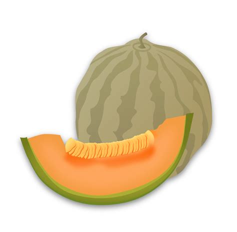 Clipart - Musk Melon