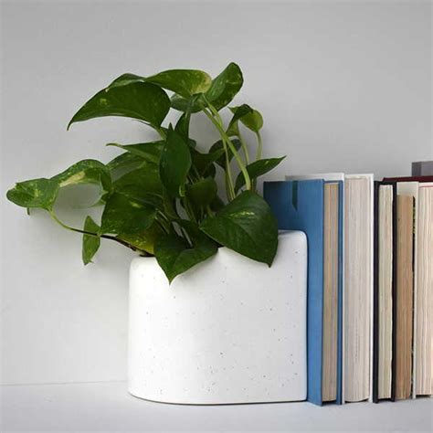 STAK Handmade Ceramic Planter Bookend | Gadgetsin