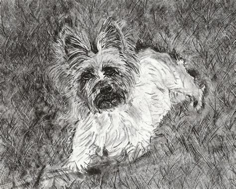 Cubby - Pencil, in Drawings