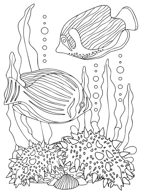 The Sea Cucumber Coloring Page - Free Printable Coloring Pages