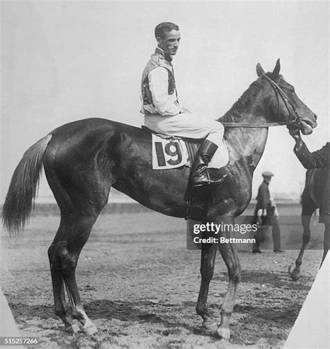 46 Man O War Horse Stock Photos, High-Res Pictures, and Images - Getty Images