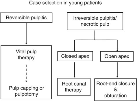 5 Management of Teeth with Necrotic Pulps and Open Apices | Pocket ...