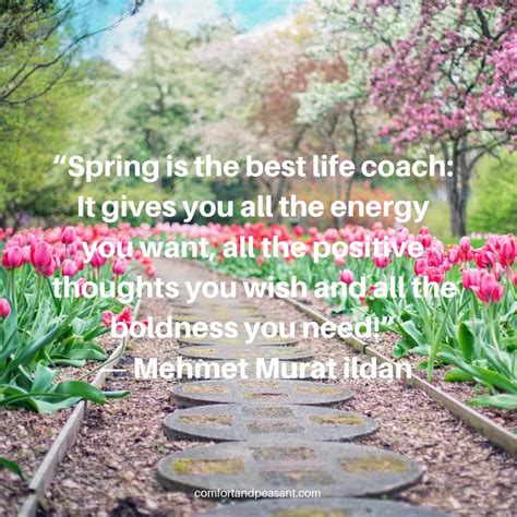 20 INSPIRATIONAL QUOTES FOR SPRING ~ Comfort & Peasant