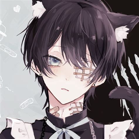 🐼飴宮86＋ﾞ🍬 on Twitter | Anime cat boy, Cute anime guys, Anime neko