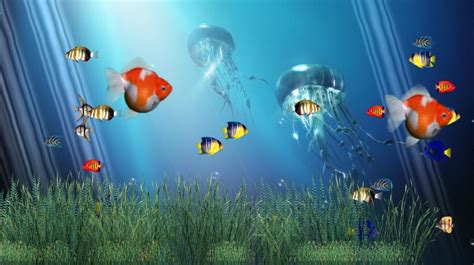 Animated Fish Wallpapers - Top Free Animated Fish Backgrounds - WallpaperAccess