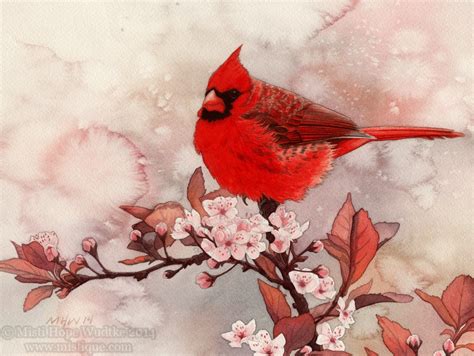 Spring Cardinal by MistiqueStudio on DeviantArt