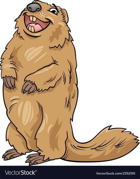 Marmot animal cartoon Royalty Free Vector Image