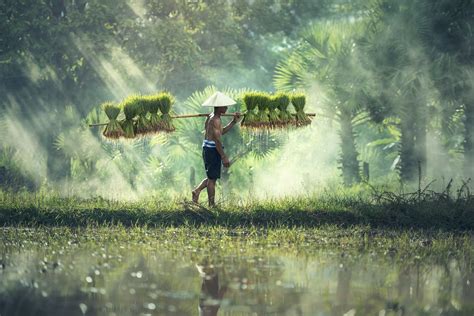 Le Vietnam, une destination qui fascine | ProjetVoyage