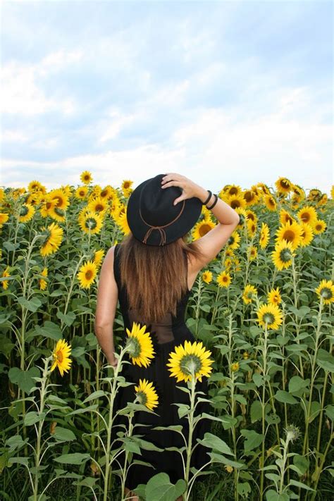 40 best Sunflower Field Photography Shoot Ideas images on Pinterest ...