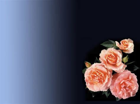 Powerpoint Backgrounds Roses