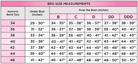 Measuring Correct Bra Size Calculator