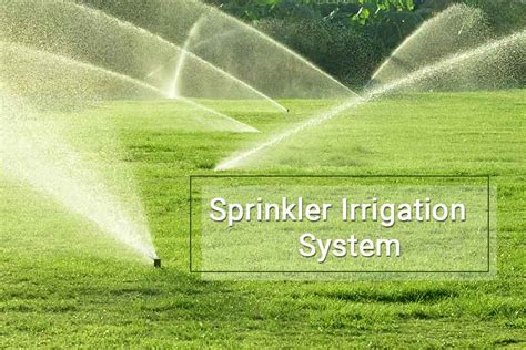 Sprinkler Irrigation System | Sprinkler Manufacturer | Tirupati Sprinklers