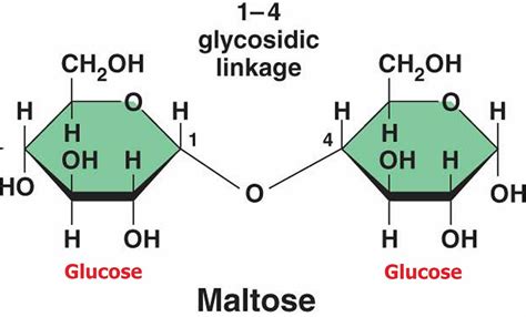 In which of the following compounds, all the monosaccharide units are ...