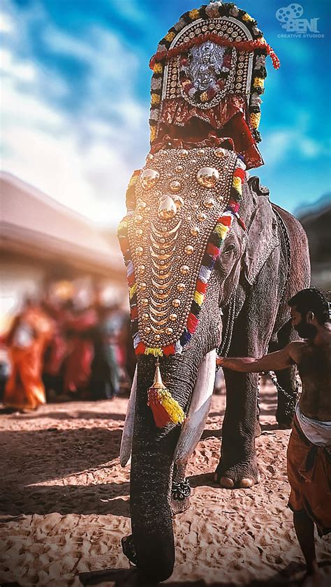 Free stock photo of elephant, festival, HD