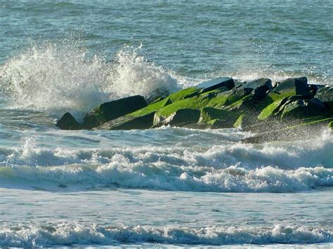 The Jersey Shore - 2023 Photograph by Arlane Crump - Fine Art America