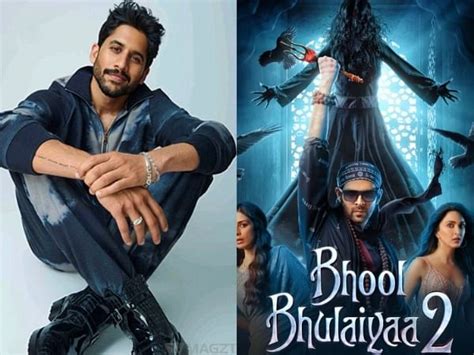 Naga Chaitanya to star in 'Bhool Bhulaiyaa 2' remake? – ThePrint