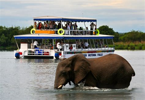 Sunset Boat Trip on The Zambezi River – Departing from Victoria Falls