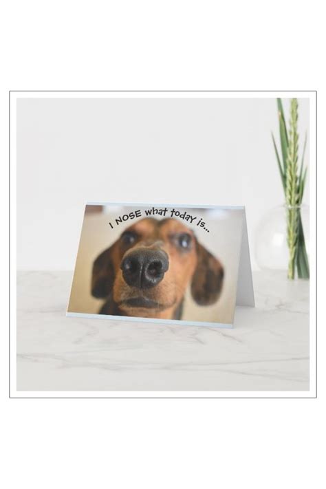 Funny Dog Birthday Card