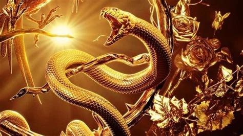 THE HUNGER GAMES: THE BALLAD OF SONGBIRDS & SNAKES Reveals Its First ...