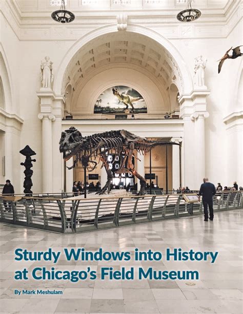 Sturdy Windows into History at Chicago’s Field Museum | IIBEC