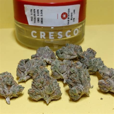 Strain Review: Gas Station Sushi by Cresco - The Highest Critic