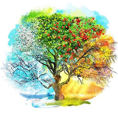 The four seasons | Tree painting, Tree art, Tree artwork