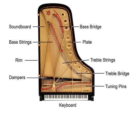 The Making of a Grand Piano | The Musicality Network