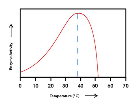 The Effects of Temperature and pH on Enzyme Activity - Hyline Products - Growers Network Forum