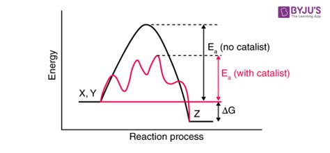 Catalysis Of Chemical Reactions - Homogeneous & Heterogeneous Catalysis