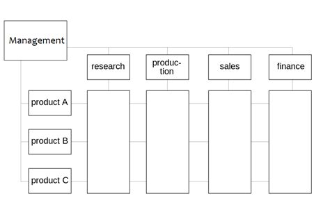 Difference Between Matrix and Functional Structure | Compare the ...