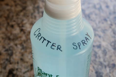 everything to entertain: Critter Spray