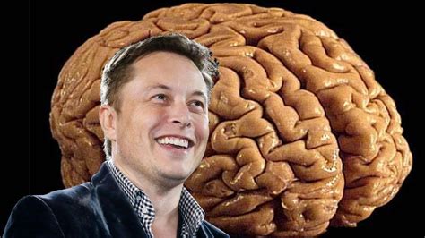 Elon Musk’s Neuralink – everything you need to know | TechRadar