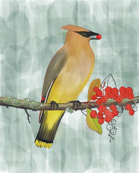 Cedar Waxwing Bird Digital Art by Blenda Studio - Fine Art America