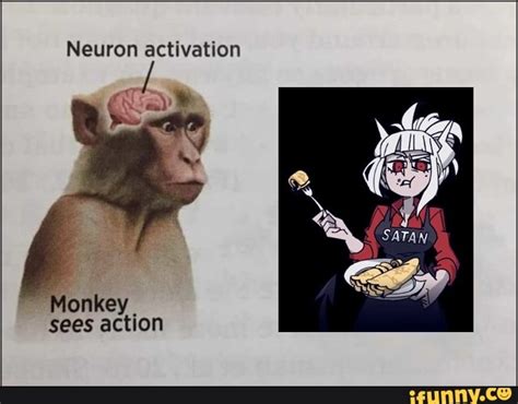 Neuron activation Monkey sees action - iFunny Brazil