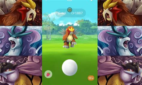 Entei 'Pokemon Go' Raid Guide: How to Get, Best Counters, PVP, Evolution, and MORE | Tech Times