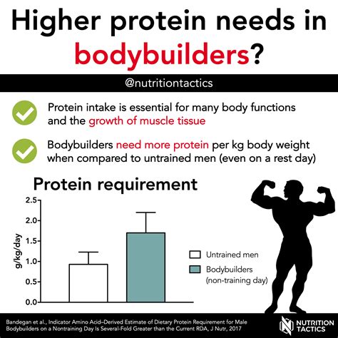 Higher protein needs in bodybuilders?