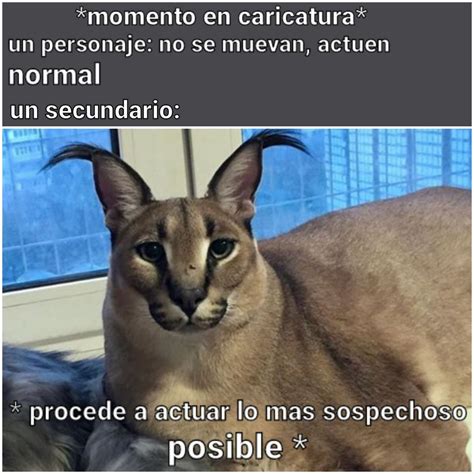 * actua lo mas normal posible * - Meme by JasonUltra99 :) Memedroid