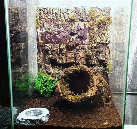 Good looking tarantula enclosure | Tarantula enclosure, Tarantula, Terrarium for sale